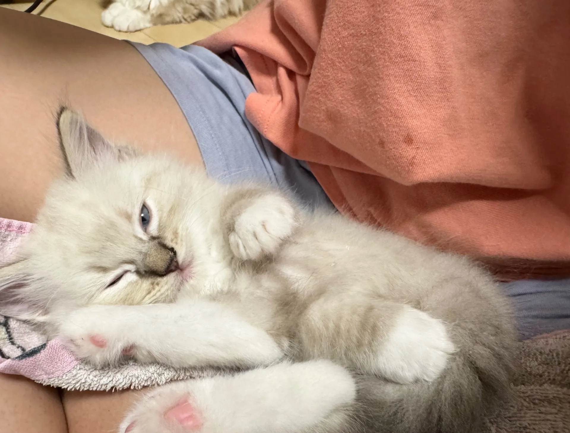 甘えん坊ちゃん♡